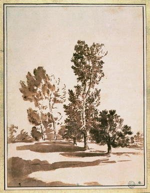 Nicolas Poussin - Tree Study